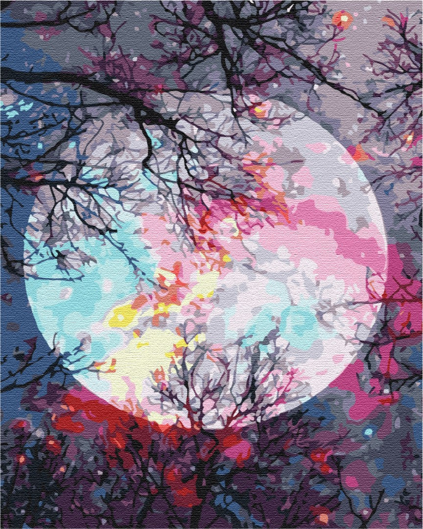 Afbeeldingen op nummer Uitkijkend over de maan